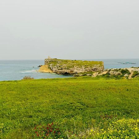 Fl12 Διαμέρισμα Σεντ Πόλς Μπέι Εξωτερικό φωτογραφία